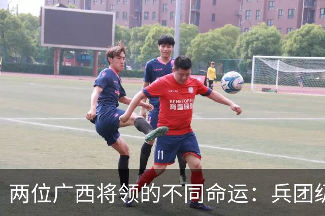 两位广西将领的不同命运：兵团级干部的授衔之谜